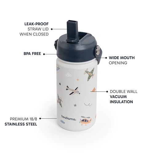 Seallama Kids Water Bottle 14oz Stainless Steel Tumbler with Straw Lid - Jet Set Go