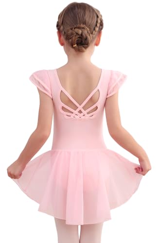 Ballet Leotard Dress for Toddler Ballerina - Ballet Pink, 4-5T