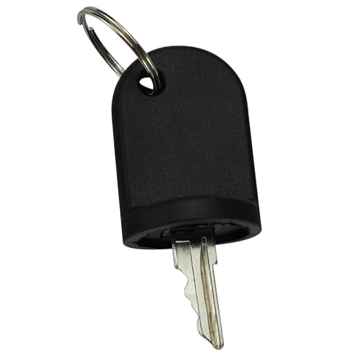 Golf Cart Ignition Keys 2 Pack with Dustproof Shell - 605946