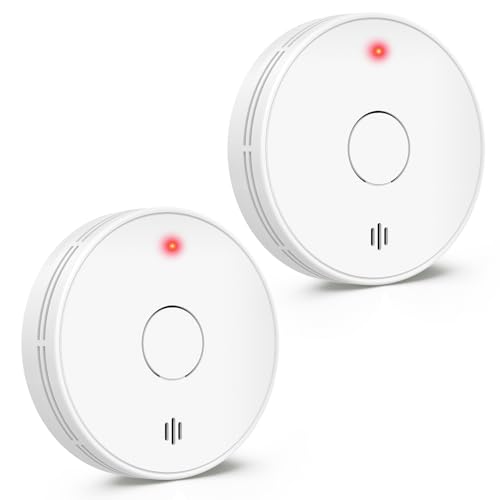 Smoke Alarm with LED Indicator with Mute Button, Fire Alarm Smoke Detector with Built-in 10 Year Battery, Model VS02