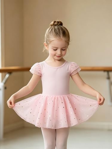 Toddler Girl Ballet Leotard Sparkly Dance Dress 4-5T Pink Outfit