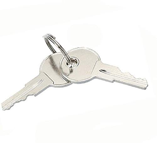 Golf Cart Ignition Keys for EZGO Gas and Electric Carts - 2 Pack, Silver
