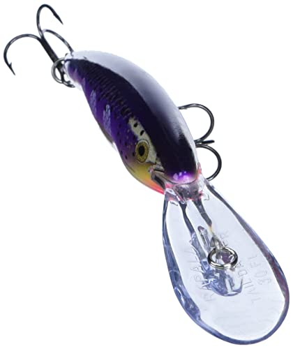 Rapala Deep Tail Dancer 11 Fishing Lure - Purpledescent 4.375-inch