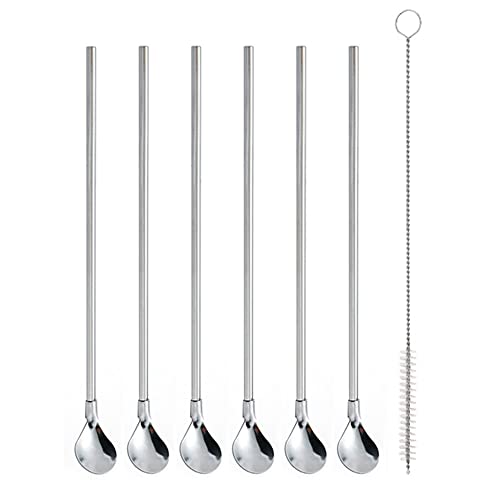 Reusable Stainless Steel Straws & Spoon Set - 6 Pieces Circular