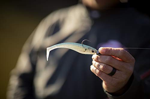 Hollow Belly Fishing Soft Bait - HD Rainbow Trout, 4in