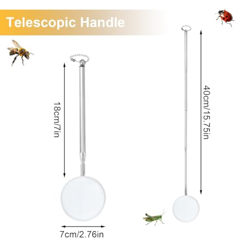 Telescopic Butterfly Net with Extendable Handle - White