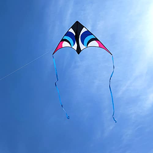 Large Triangle Beach Kite - Easy to Fly for Kids & Adults - Blue/Black