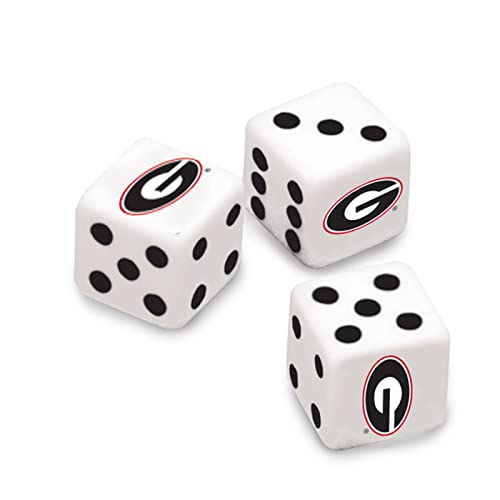 300-Piece Casino Style Poker Chip Set - Michigan State University