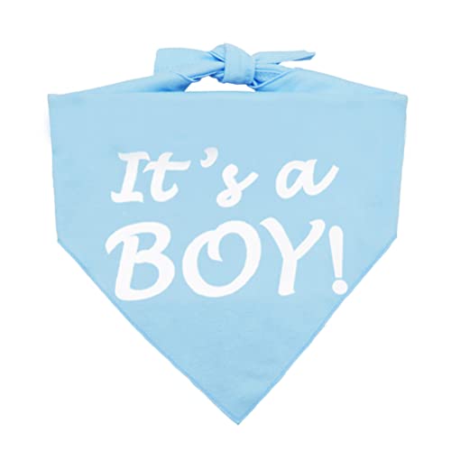 It's a Boy Dog Bandana - Pregnancy Announcement Pet Scarf