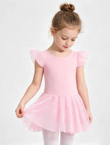 Toddler Girl Ballet Leotard Dress with Shiny Star Skirt - Ballet Pink, 4-6 Years