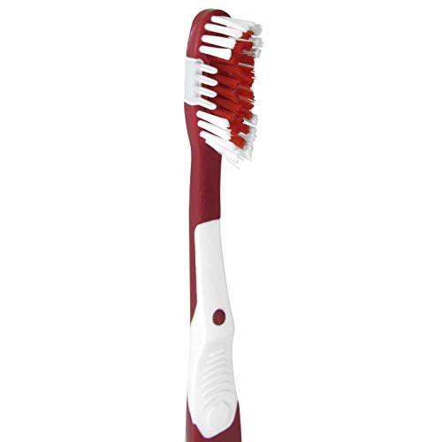 Alabama Crimson Tide MVP Battery Powered Toothbrush - Team Color