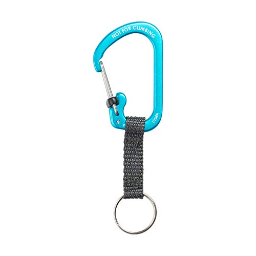 Locking Carabiner Key Chain with Webbing - Blue