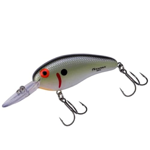 Tennessee Shad Deep Flat A Fishing Lure - 2.5 Inch