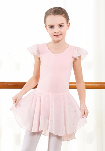 Girls Shiny Ballet Leotard Dress with Ruffle Sleeves - Pink, 4-6 Years