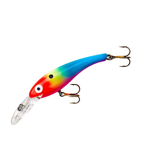 Wally Diver Crankbait Fishing Lure - 3 1/8", 1/2 oz - Fire Face Clown