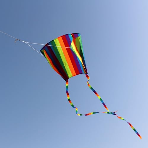 Easy Flyer Kite with Long Tail and String - Style 4
