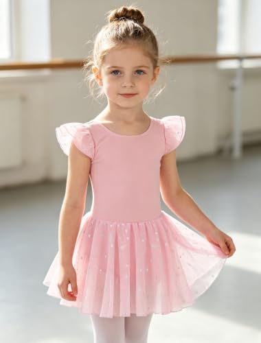 Toddler Girl Ballet Leotard Dress with Shiny Star Skirt - Ballet Pink, 4-6 Years