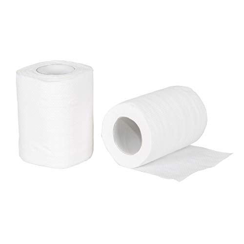 Biodegradable Toilet Tissue - 2-Ply, 100 Sheets per Roll