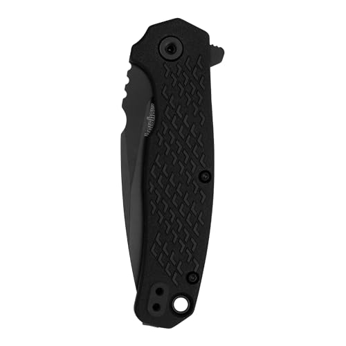 Kershaw Conduit Pocket Knife, All-Black, 2.9 Inch Stainless Steel Partially Serrated Spear Point Blade, EDC with Assisted Opening, Reversible Pocketclip Everyday Carry Pocket Knife for Men and Women