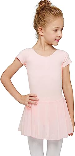 Toddler Ballet Leotard with Skirt - Ballet Pink, 2-4T