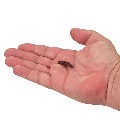 Berkley Gulp! Pinched Crawler Nightcrawler 1" Soft Bait for Fishing