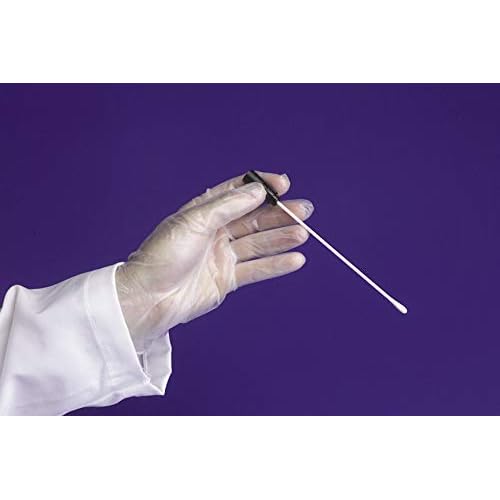 KingSeal LARGE Vinyl General Purpose Disposable Gloves, Powder-Free, 4 mil, Clear - 4 boxes of 100 Gloves by Weight (400 Count)