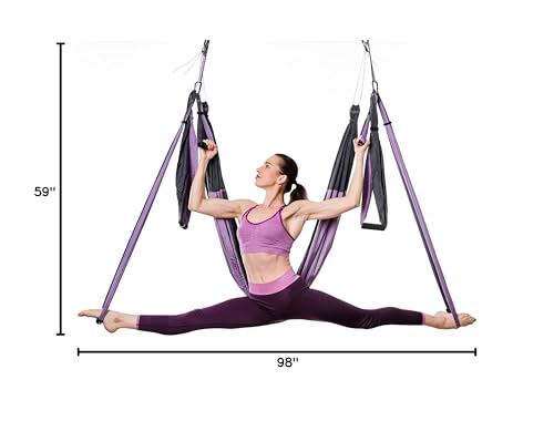 Yoga4You Aerial Yoga Swing Set - Yoga Hammock Hanging Swing - Aerial Sling Inversion Fly Kit - Acro Yoga Inversion Tool - Antigravity Toga Sling - Suspension Trapeze (Grey-Lilac)
