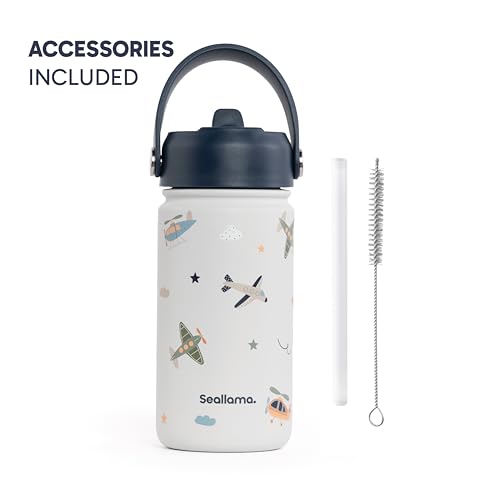 Seallama Kids Water Bottle 14oz Stainless Steel Tumbler with Straw Lid - Jet Set Go