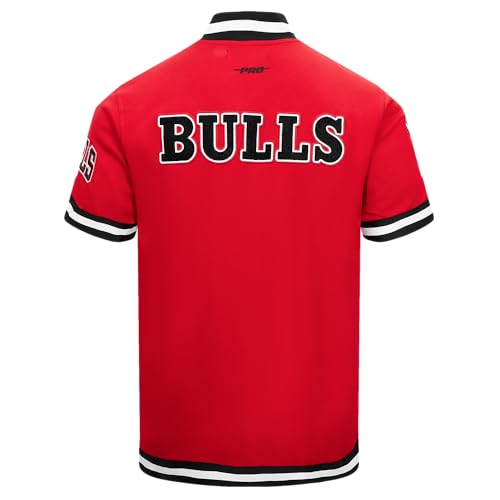Men's NBA Classic Chenille Button Down - Chicago Bulls - Large - Red/Black