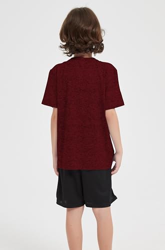 Quick Dry Boys' T-Shirt - Moisture Wicking Athletic Tee - Dark Red, 12-14 Years