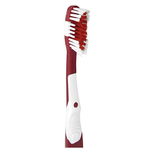 San Francisco 49ers MVP Toothbrush - Red, Soft Bristles & Gum Massagers
