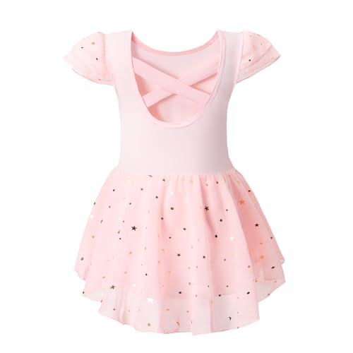 Toddler Girl Ballet Leotard Sparkly Dance Dress 4-5T Pink Outfit
