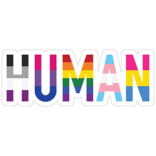 Rainbow Pride Flag Vinyl Decal Sticker - 6" x 2.25"