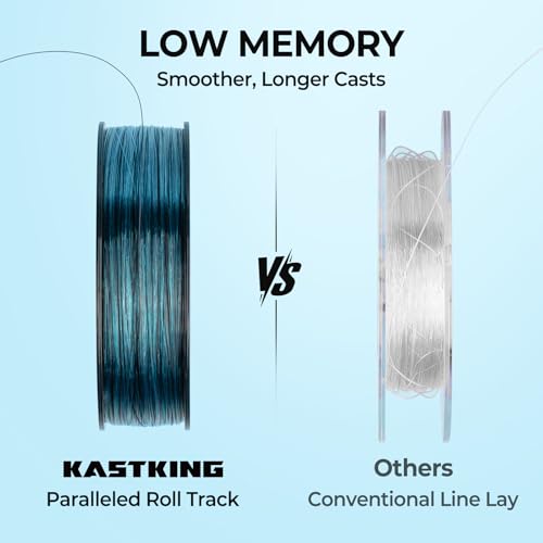 Monofilament Fishing Line - Abrasion Resistant, Low Memory, 4LB (300 Yds) - Ice Clear