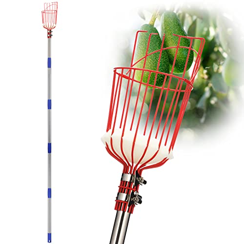 DonSail Telescoping Fruit Picker Pole with Basket 35-68 Inch Adjustable Mango & Citrus