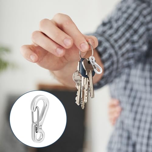 12 Pcs Mini Carabiner Clips - Stainless Steel Keychain Hooks