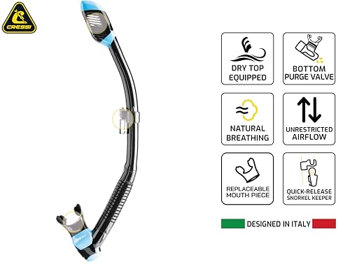Dry Snorkel for Adults with Splash Guard - Black