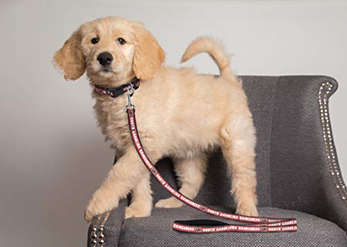 NCAA Dog Leash - Small South Carolina Gamecocks - Durable Nylon