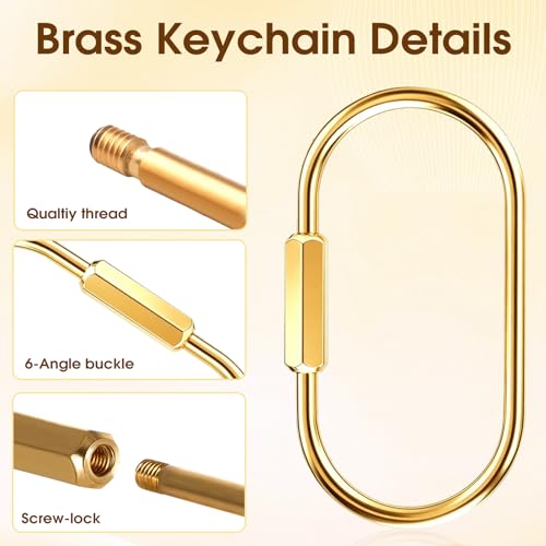 Gold Carabiner Keychain - 4 PCS Brass Key Ring with Screw Lock Clip