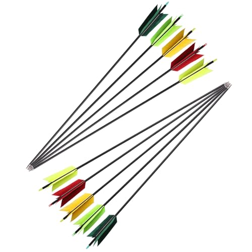 31 Inch Carbon Arrow with Turkey Feathers for Hunting & Target Practice - Spine 500