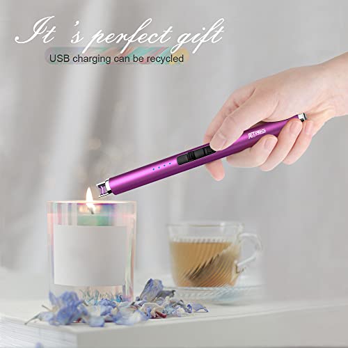 USB Rechargeable Electronic Arc Lighter - Windproof Flameless - Purple