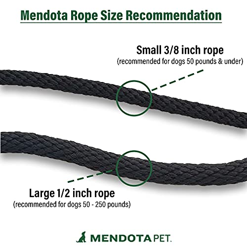 Dog Slip Leash and Collar Combo - 3/8 in x 6 ft - Black Ice Raspberry