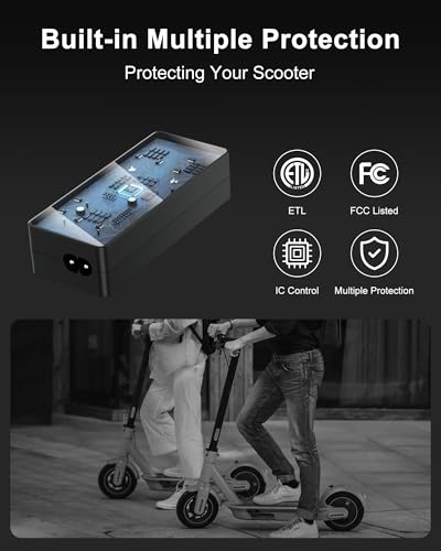 42V 2A Electric Scooter Charger for Gotrax, Jeston, Hiboy - Fast Charging