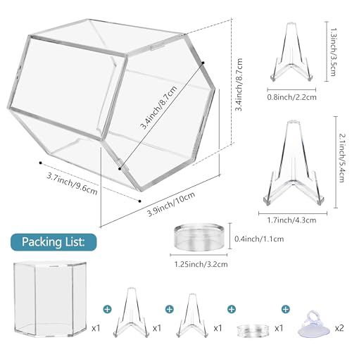 Baseball Display Case - UV Protected Acrylic Hexagon 1 Pack