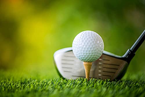 Professional Wooden Golf Tees - 2 3/4 Inch, Pack of 100, Natural