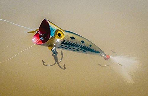 Topwater Popper Fishing Lure - Silver/Black - 1/4 Oz
