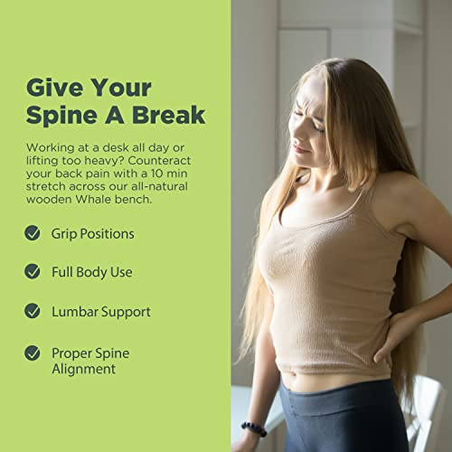Whale Curved Back Stretching Bench - Spinal Alignment Tool