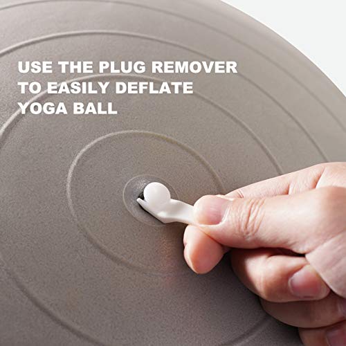 Hand Air Pump for Yoga Ball - Exercise Ball Pump with 2 Plugs