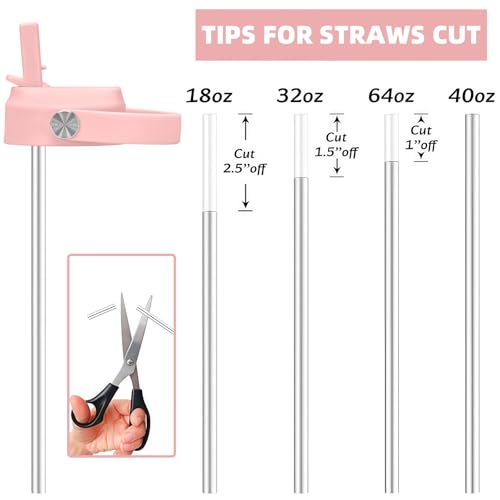 Straw Lid & Silicone Boot for Wide Mouth Water Bottles - Pink