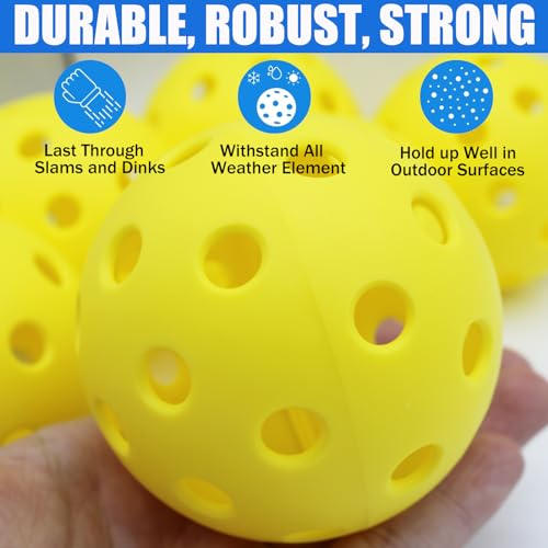 Outdoor Pickleball Balls - USAPA Approved 20 Pack - Multicolour